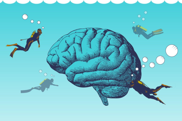 Brain underwater with scuba divers swimming around