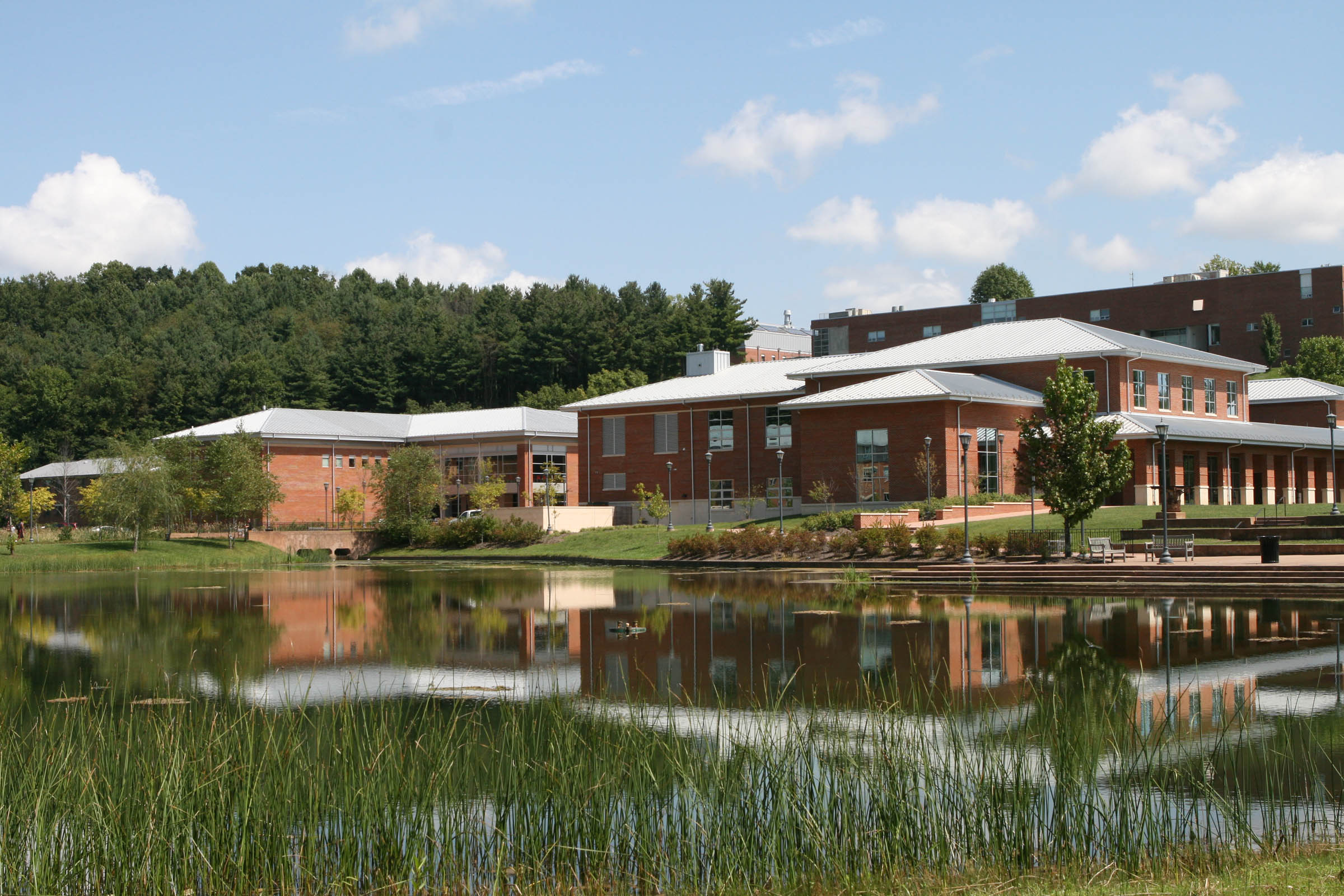 UVA Wise