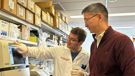 og_newsmedvirginiaedu_research_new-study-reveals-key-mechanism-behind-cerebellar-ataxia-and-neurodegeneration_.jpg