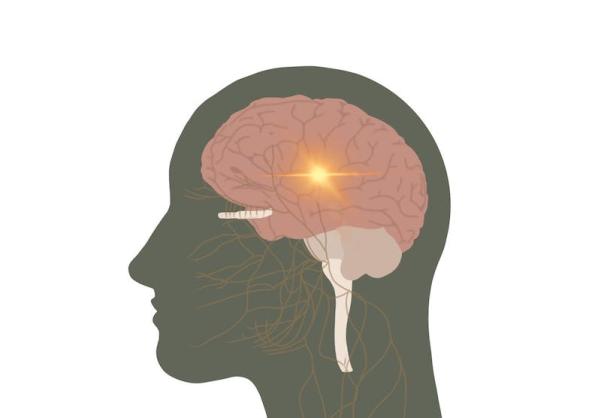 og_wwwcavalierdailycom_article_2021_07_u-va-researchers-develop-a-new-imaging-approach-to-target-epilepsy-seizuresctcon.jpg