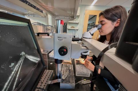 Second year undergraduate Nazanin Setayeshpour dissecting a fruit fly brain in the lab of Jay Hirsh.