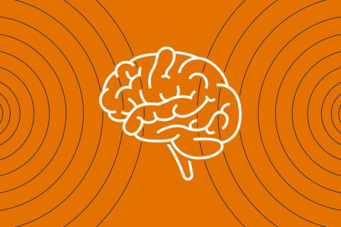 UVA Health researchers are focusing on a surgery-free technique using soundwaves to treat cerebral cavernous malformations. (Illustration of brain by John DiJulio, University Communications)
