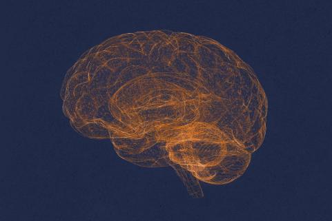Blue background, orange brain