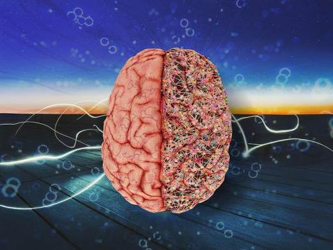 Brain on horizon